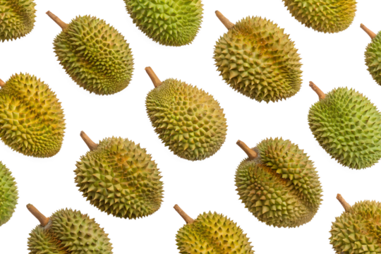 seamless durian pattern on white background