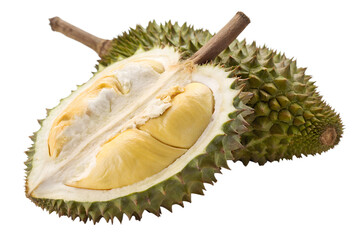 Obraz premium durian isolated on white background