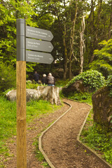 Forest trail in Santa Eufémia, Sintra, Portugal, with a wooden signpost guiding hikers to local landmarks like the Park of Pena and Moorish Castle, surrounded by lush, serene nature.