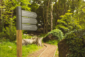 Forest trail in Santa Eufémia, Sintra, Portugal, with a wooden signpost guiding hikers to local...