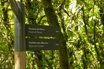 Trail signpost in Sintra’s forest points to Parque da Pena and Moorish Castle. Surrounded by vibrant greenery, it guides hikers through this iconic and peaceful heritage landscape.