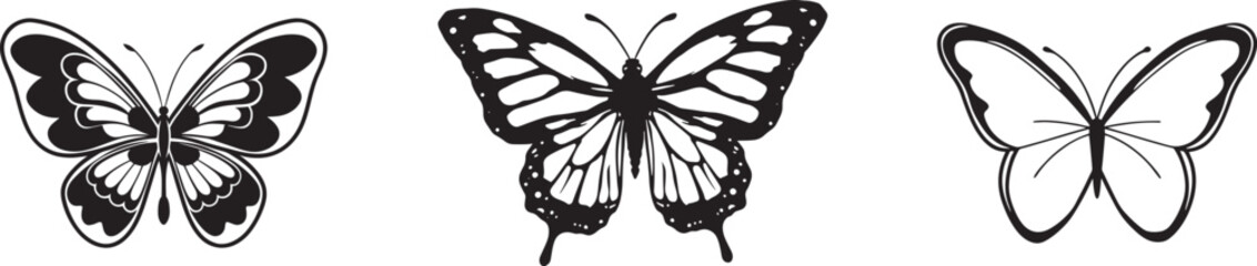 Beautiful Butterfly Illustrations Detailed Vector Images for Creative Projects  Wings Antennae Nature Art