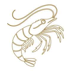Elegant shrimp illustration in linear outline style with golden stroke, perfect for seafood branding, restaurant logos, menu design, packaging, culinary art, and modern food graphics