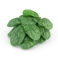 Obraz premium Fresh Spinach Leaves with Healthy Food, and Green Veggie.