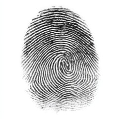 Close up Detailed Black Fingerprint Impression on White Background Ideal for Security Identity and Forensics