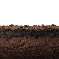 Detailed Close up of Soil Layers Showing Topsoil and Subsoil Rich in Organic Matter Ideal for Agriculture and Gardening