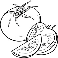 vector illustration of an tomato