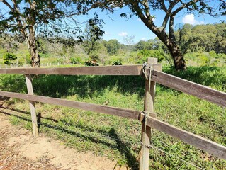 Wooden fence in green landscape