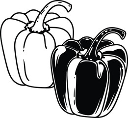 vector illustration of pepper