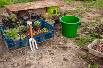 Various potted plants, gardening tools, and a bucket set the scene for planting a garden.