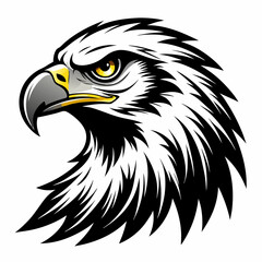 Fototapeta premium american bald eagle