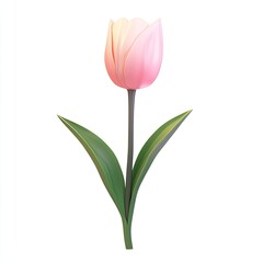 Naklejka premium A Delicate Pink Tulip Blossom: A 3D Rendered Springtime Flower