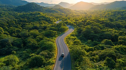 Winding road through lush green forest at sunset.  A car travels along a scenic route