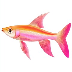Fototapeta premium Vibrant Pink and Orange Celestial Pearl Danio Fish Illustration: A Detailed Aquatic Life Render