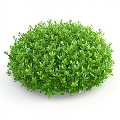 Lush Green Bush: A Vibrant Display of Foliage, Perfect for Landscaping and Garden Design