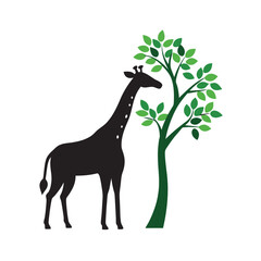 Giraffe eating leaves silhouette style