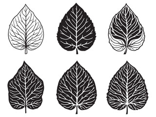 Elegant Hand Drawn Coleus Leaf in Detailed Line Art Style