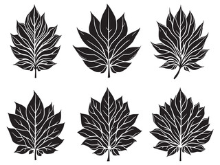 Elegant Hand Drawn Line Art of Sunflower Leaf