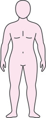 Human body outline vector illustration with simple pink skin tone and minimalistic style in frontal view for anatomy education and design uses 