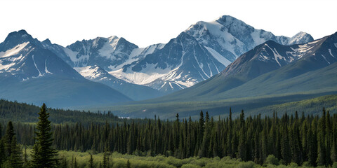 Panoramic landscape of snow-capped mountains with evergreen forest