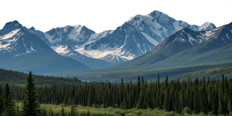 Panoramic landscape of snow-capped mountains with evergreen forest