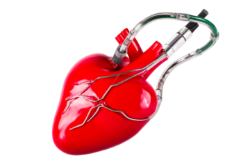 Representation of a human heart with medical equipment attached