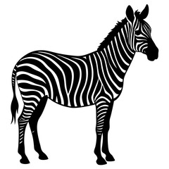 Obraz premium zebra silhouette vector illustration on white background