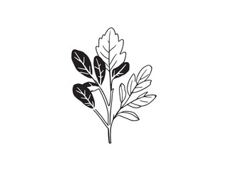 Elegant Line Art Eucalyptus Leaf Vector for Artistic Creations