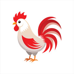 Colorful Rooster Drawing Vector Animal Graphic