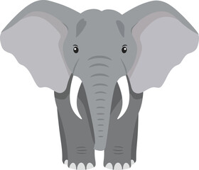 Fototapeta premium Elephant front view vector illustration with large ears and tusks in grey colors natural style 