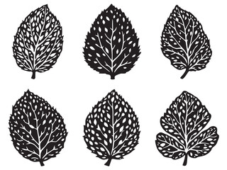 Elegant Lychee Leaf Botanical Line Drawing Vector