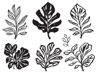 elegant plant leaf line art drawing for decoration