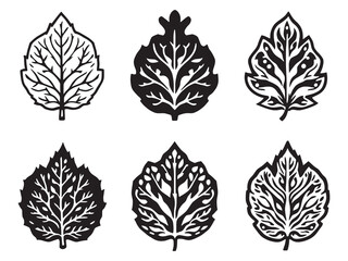 Obraz premium Elegant pomegranate leaf vector line art botanical graphic design