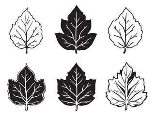 Elegant redbud leaf hand drawn vector line art