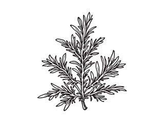 Elegant rosemary leaf line art drawing for decorative use