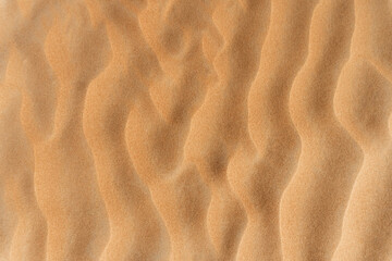 Close-up sand winding dune background. Summer sandy texture. Space for text. Top view.