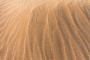 Desert hilly landscape with wavy pattern of dunes. Blurred background. Selective focus.