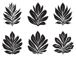 Elegant yucca plant leaf outline drawing for design use