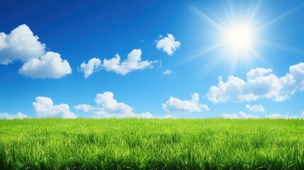 Obraz premium Serene Meadow Vista with Vibrant Green Grass Fluffy Clouds and Radiant Sunlight in a Clear Blue Sky Capturing the Essence of Nature and Tranquility