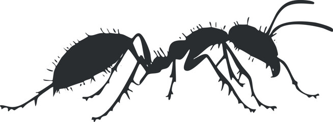 Black silhouette of an ant insect with detailed legs and antennae isolated on white background