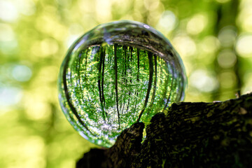 The Beauty of Nature Captured and Reflected in a Crystal Sphere Displaying its Essence