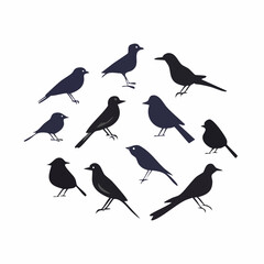Different kinds of Birds silhouettes icon