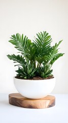 Obraz premium Lush Green Plants in White Pot on Wooden Stand