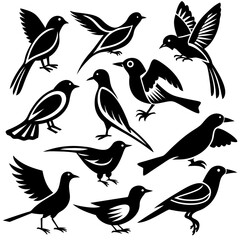 Flat Design Bird Silhouettes for Icons and Logos Vector