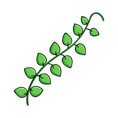 Obraz premium Illustration of green leaf vine plant with leaves, nature foliage, botanical drawing, branch art