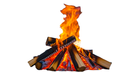 Blazing Campfire, The flames of a roaring campfire dance against the night sky, casting a warm and inviting glow over the surrounding wilderness. A symbol of warmth, community.