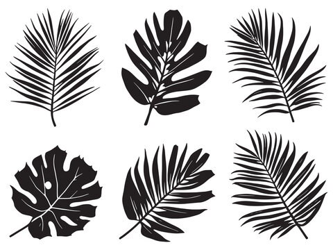 line art of areca palm tree for design use