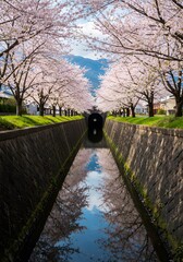 Serene Canal View Under Cherry Blossoms: A Tranquil Journey Through Spring in Picturesque Landscape With Mountain Backdrop