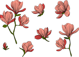 Sakura blossom flowers collection in outline japanese style 