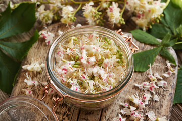 Preparation of herbal tincture from horse chestnut blossoms in a glass jar